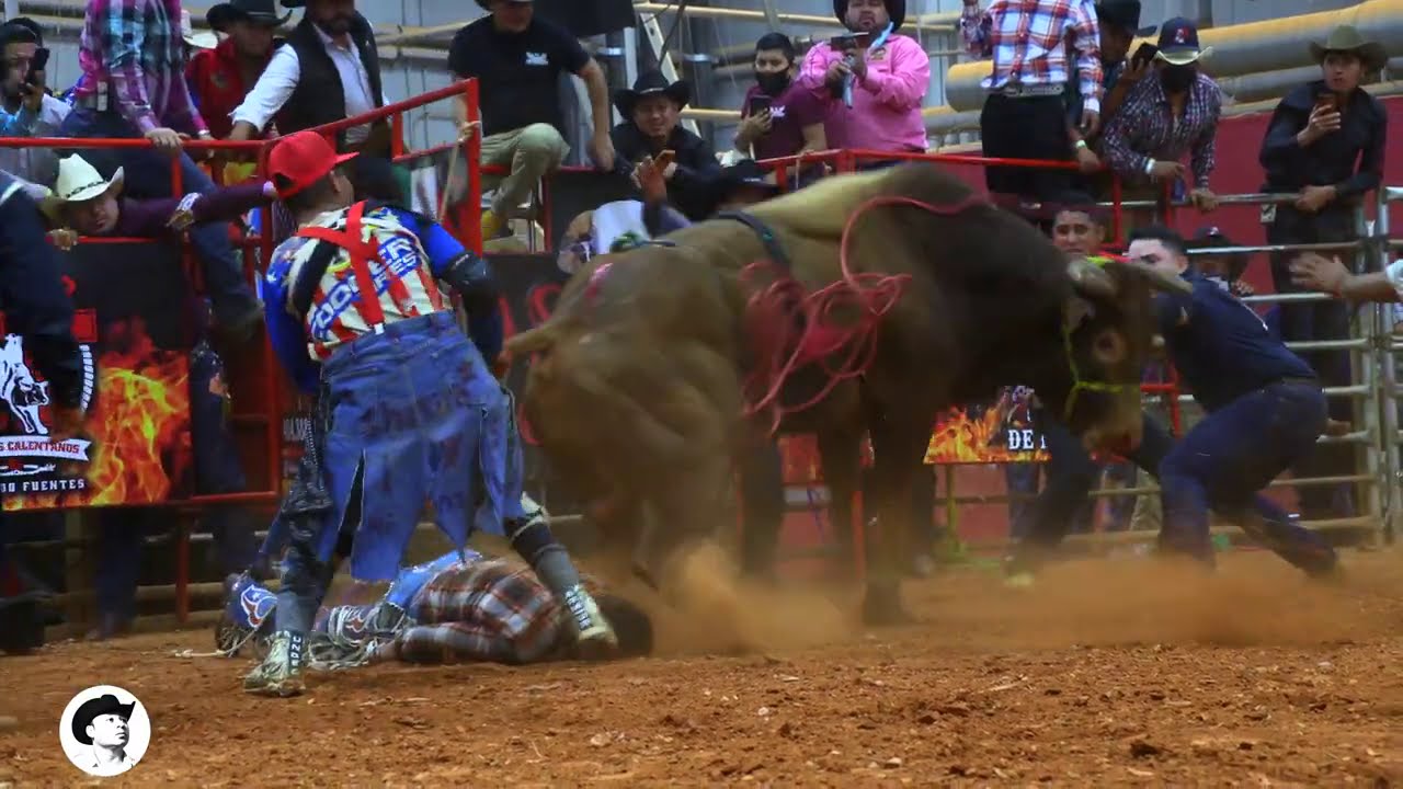 AARON ORTIZ VS EL LE&Oacute;N DE LA SIERRA LA REVANCHA