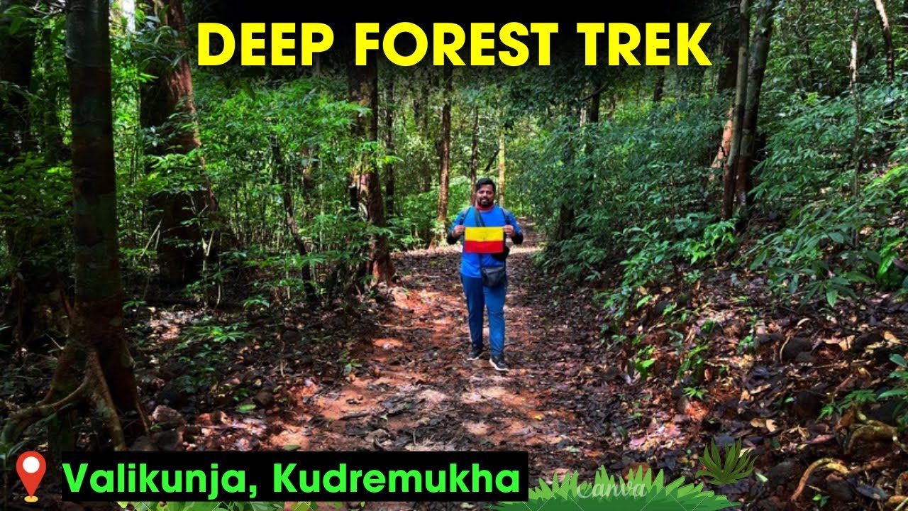 VALIKUNJA TREK - KUDREMUKHA TREK - RANI JHARI VIEW POINT - KALASA - TOP Places in CHIKAMAGALURU