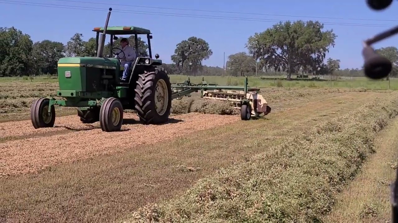 Baling Perennial Peanut Hay