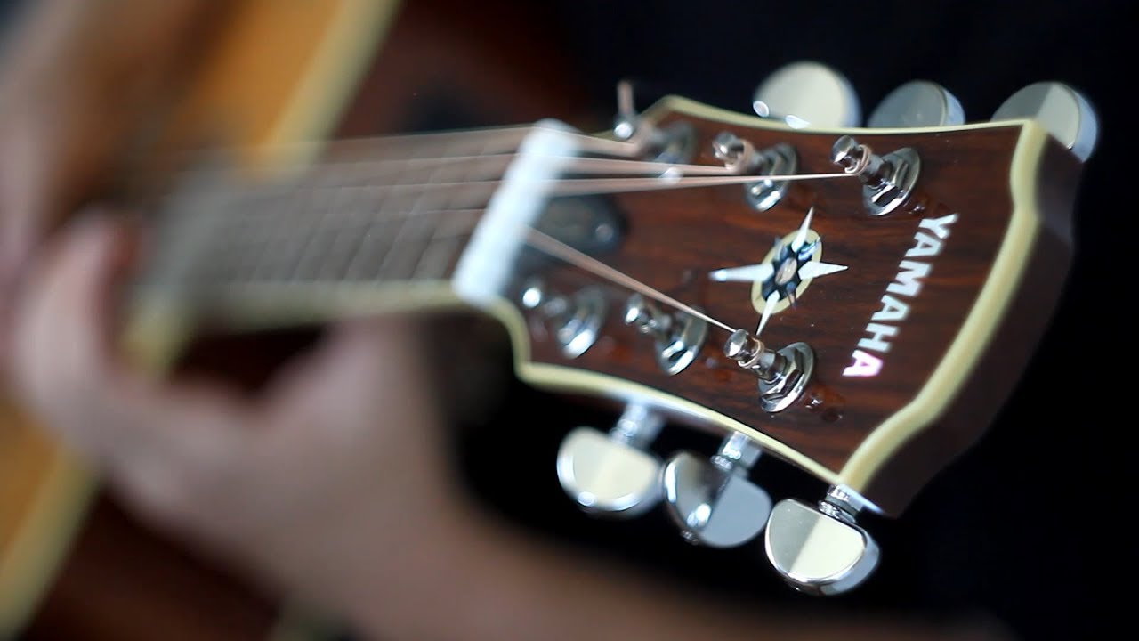 Seelenstaub - Insanity`s Crescendo (Dark Tranquillity Short Cover)