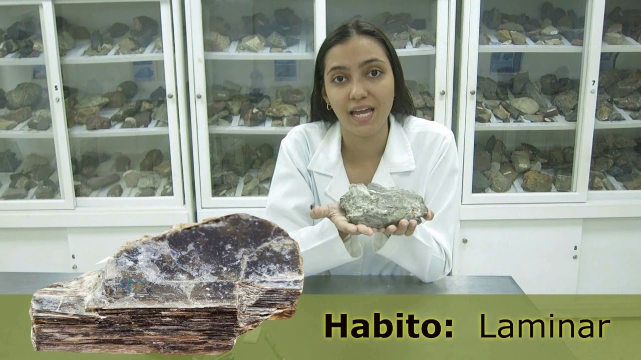 DESCRIPCIÓN MACROSCÓPICA DE LA MOSCOVITA