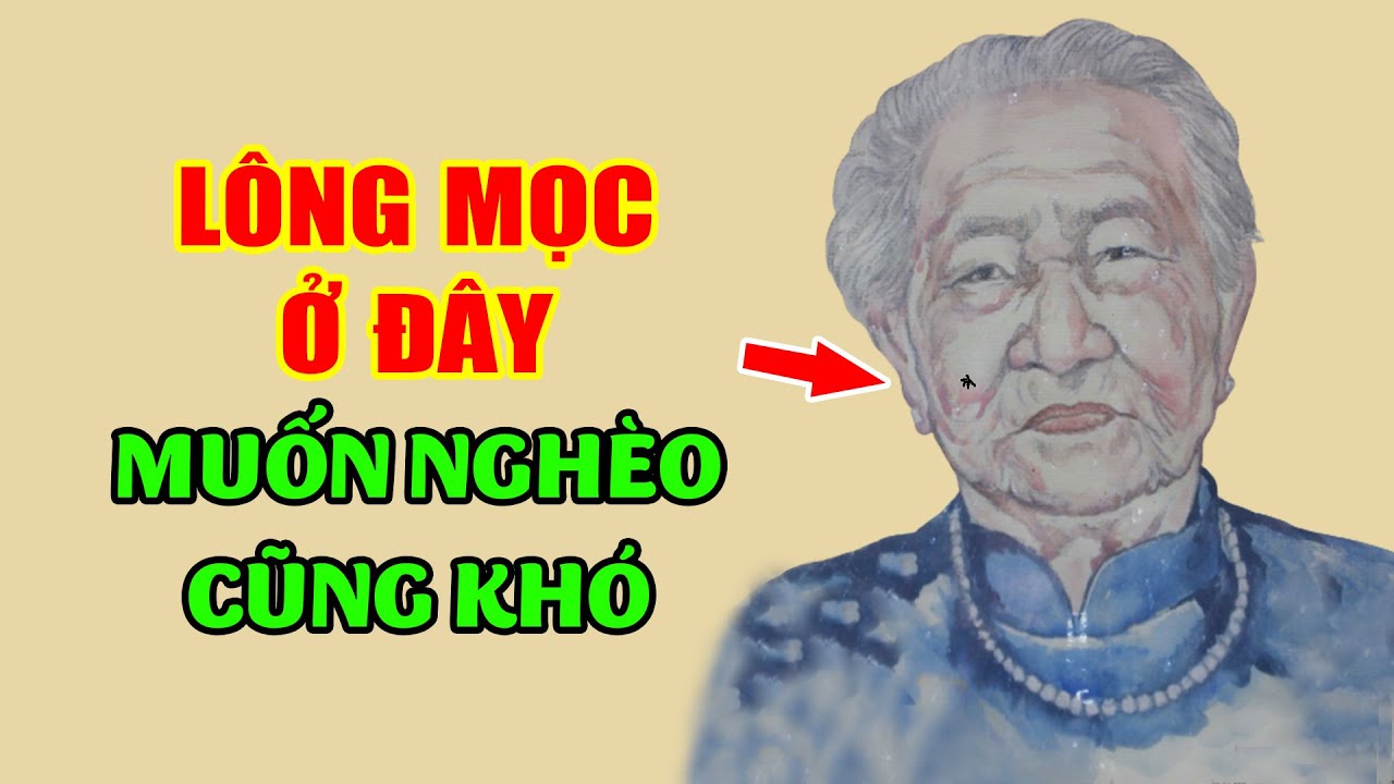 10 Vị Trí Lông Lộc, Càng Về Già Càng Giàu Nứt Vách, Cả Đời Muốn Nghèo Cũng Khó | Triết Lý Nhân Sinh