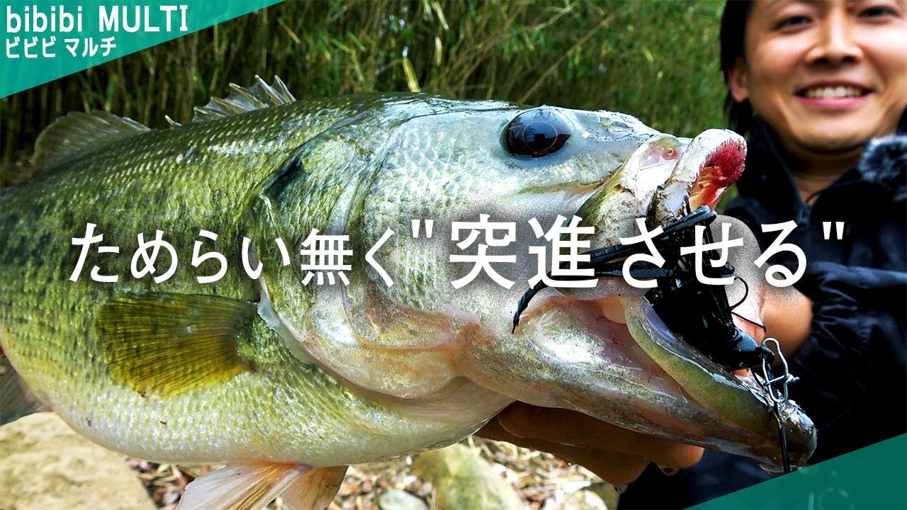 【バス釣り】猛烈バイトが味わえる「スイムジグ岸ギワシャロー攻め」【赤松健】