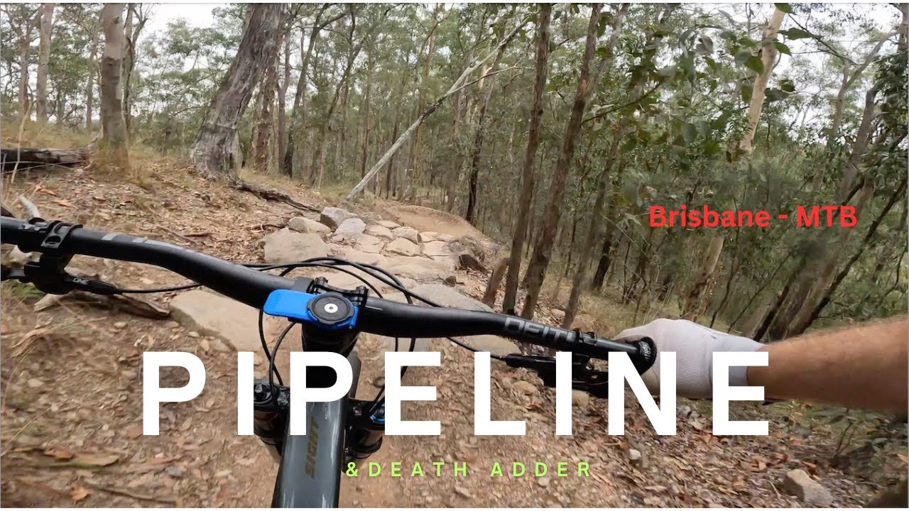 Pipeline & Death Adder - Brisbane MTB (Gap Creek) Nov 24