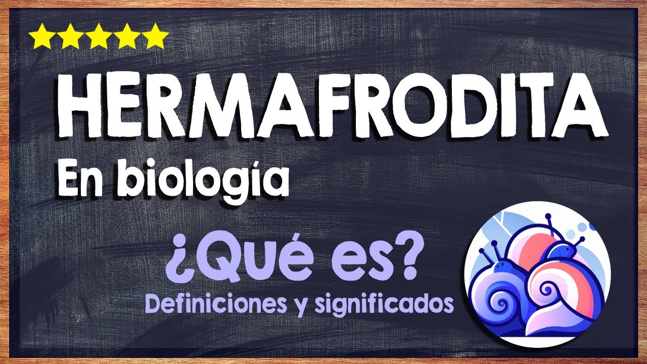 🙏 &iquest;Qu&eacute; es hermafrodita? - Significado de hermafroditismo en biolog&iacute;a y ciencias naturales 🙏