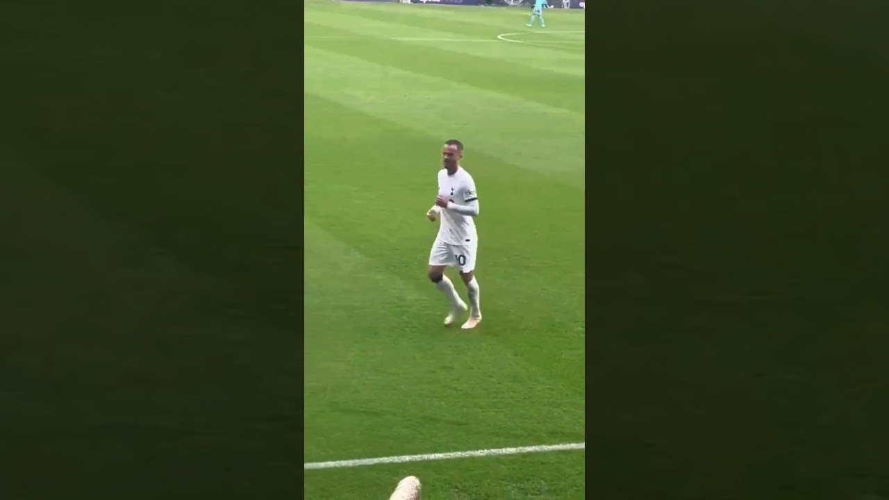 James Maddison with Bournemouth fans 😆 #funnyfootball #jamesmadison #maddison #fans #football
