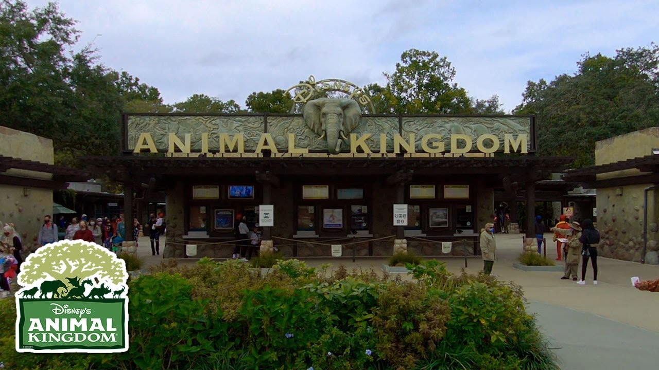 Disney's Animal Kingdom 2021, Orlando, Florida | Full Complete Walkthrough Tour