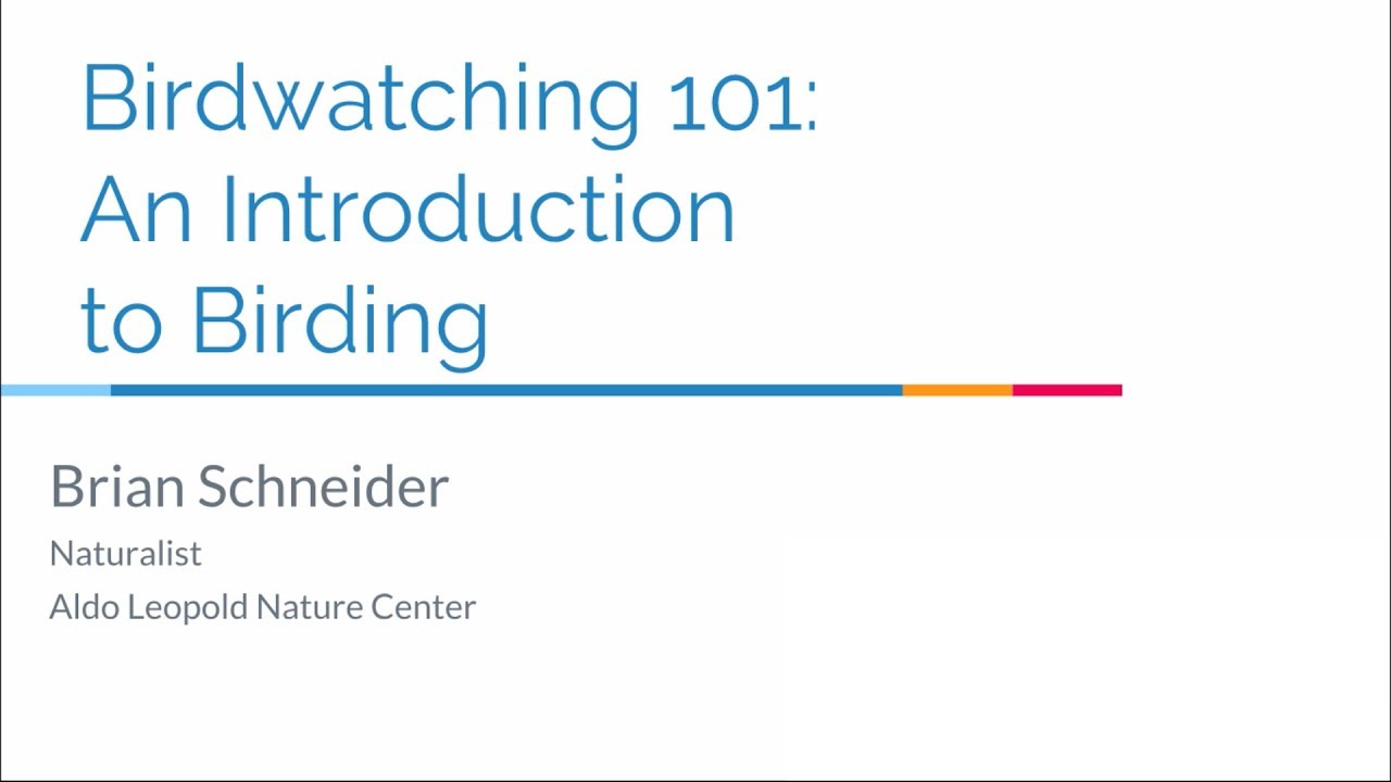 Birdwatching 101: An Introduction to Birding by Brian Schneider 2/27/19