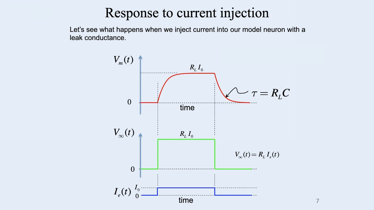 3: Resistor Capacitor Neuron Model - Intro to Neural Computation