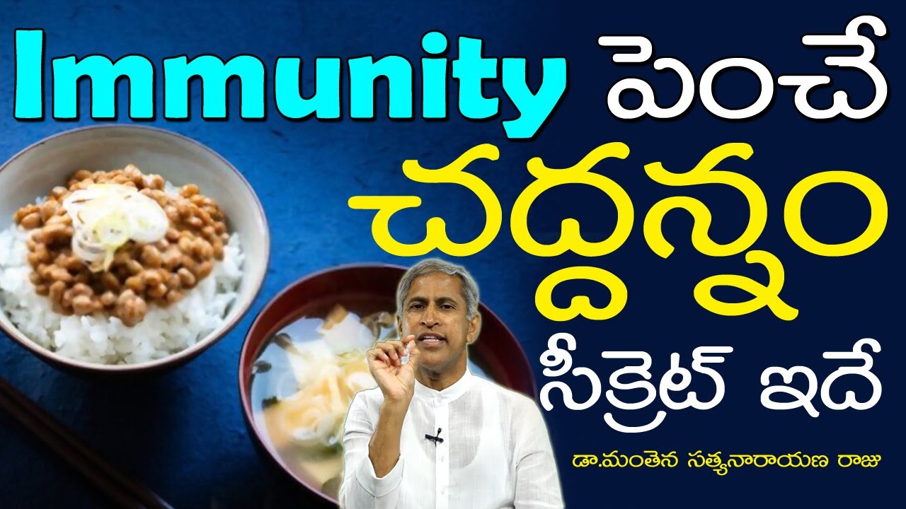 Immunity పెంచే చద్దన్నం సీక్రెట్ !! | Fermented Rice Health Secret | Dr Manthena Satyanarayana Raju