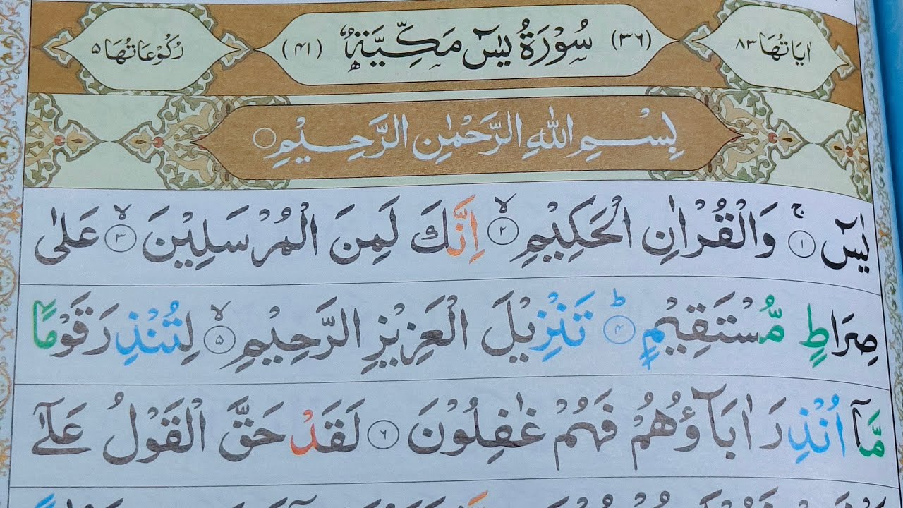 Reading Quran surah Ya seen ♥️♥️💐🌹🥰🥀🤲🥳✨