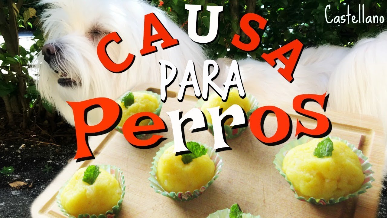 Receta Peruana para PERROS 