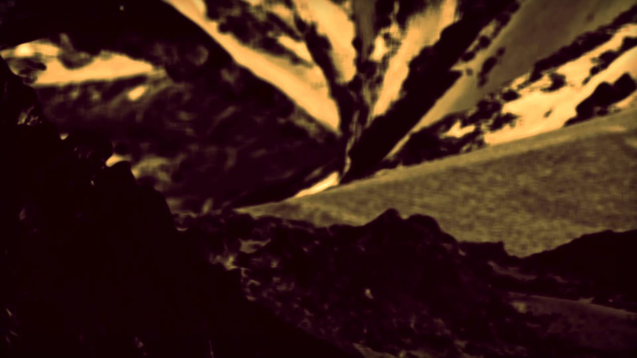 HVOB - Dogs [Official]
