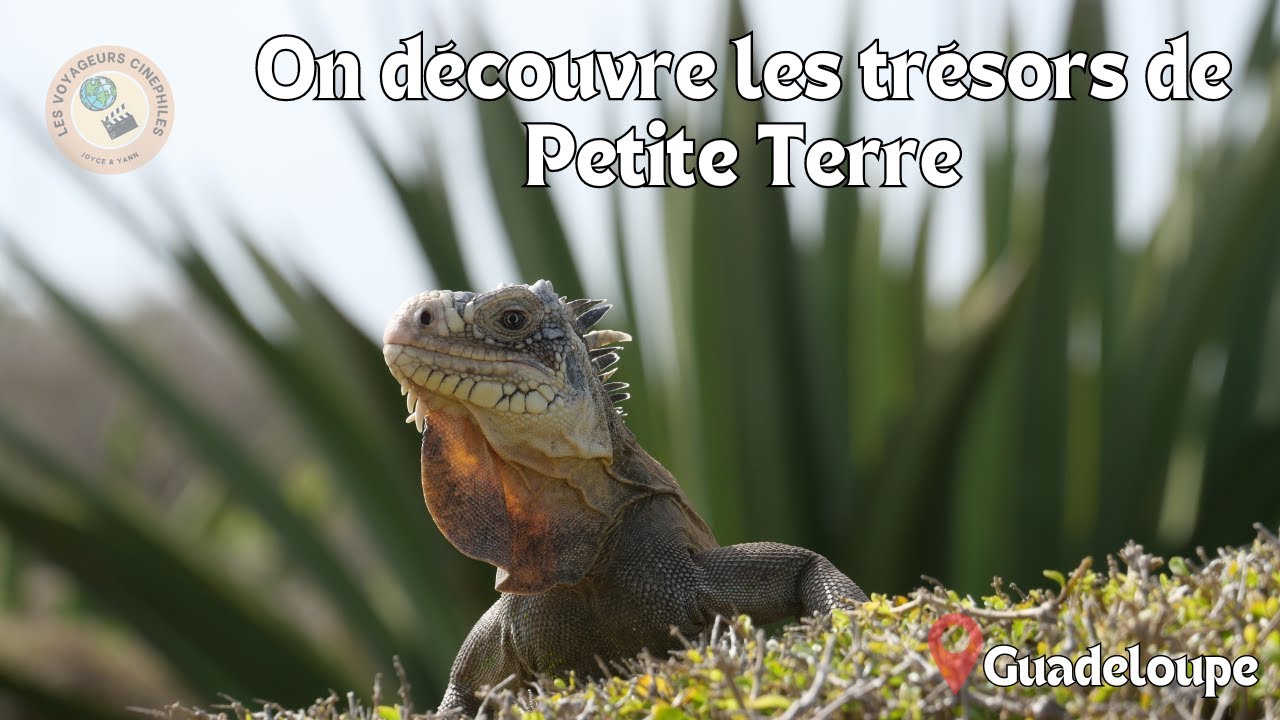 Petite-Terre, réserve naturelle de la Guadeloupe