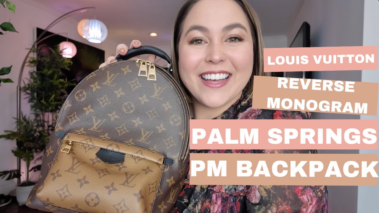 Louis Vuitton Reverse Monogram Palm Springs PM Backpack Review