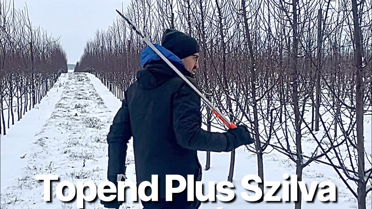 TOPEND PLUS SZILVA ORSÓ METSZÉS
