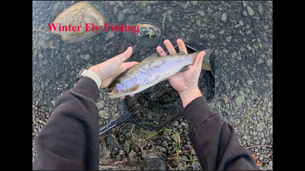 Winter Fly Fishing