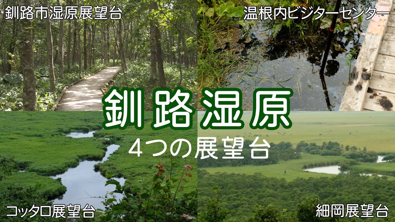 釧路湿原 KUSHIRO MARSH 4VIEWING PLACES | 2021 日高・道東の馬旅 #12 【旅日記vol.050】