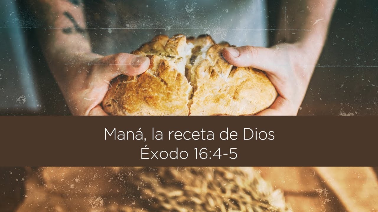 🔴Predicación- Maná, la receta de Dios- 11 Febrero 2026 - Templo Belén 🔴