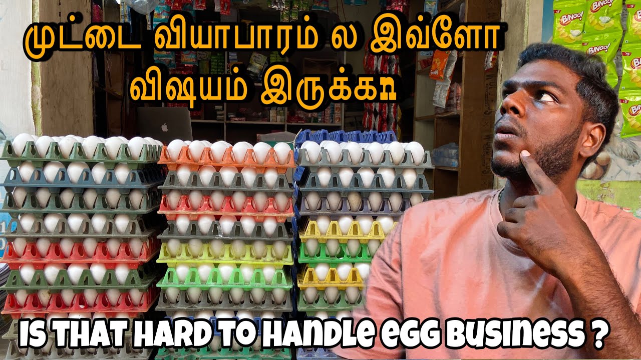 கண்டிப்பா முட்டை வியாபாரம் பத்தி தெரிஞ்சிக்கோங்க 🤷🏻‍♂️| Jaba_business_talks 