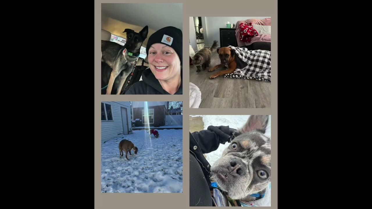 Pet Services from the Hart