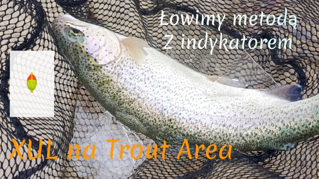 Jak łowić na Trout Area   przynęty Ultra Light od CzNymph