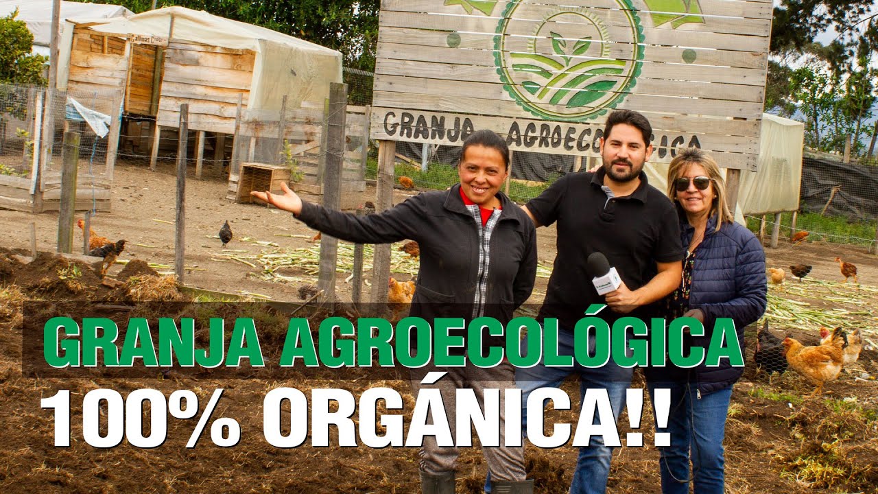 ¿Cómo hacer una Granja Agroecológica  con solo $300!! y 100% Orgánica!! 👩‍🌾