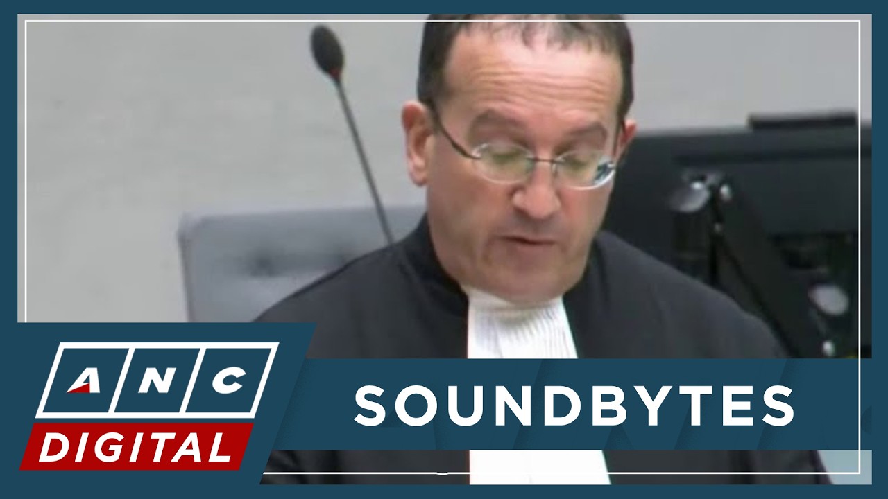 Kaufman: Prosecution 'ignores' pages that do not suit their case theory | ANC