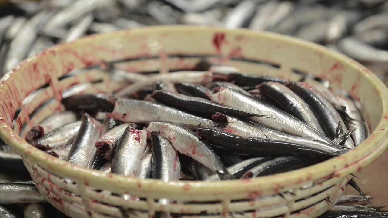 Elaboración de la anchoa en salazón | Conservas Fontecilla