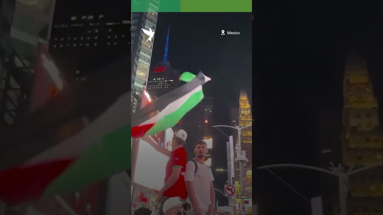 World Cup fans chant for Palestine