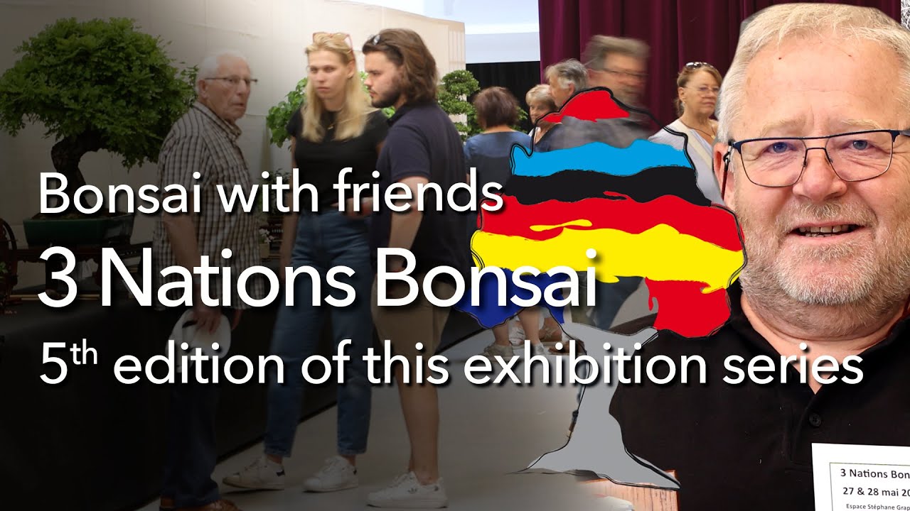 3 Nations Bonsai 2023 - The 5th edition was held in France
