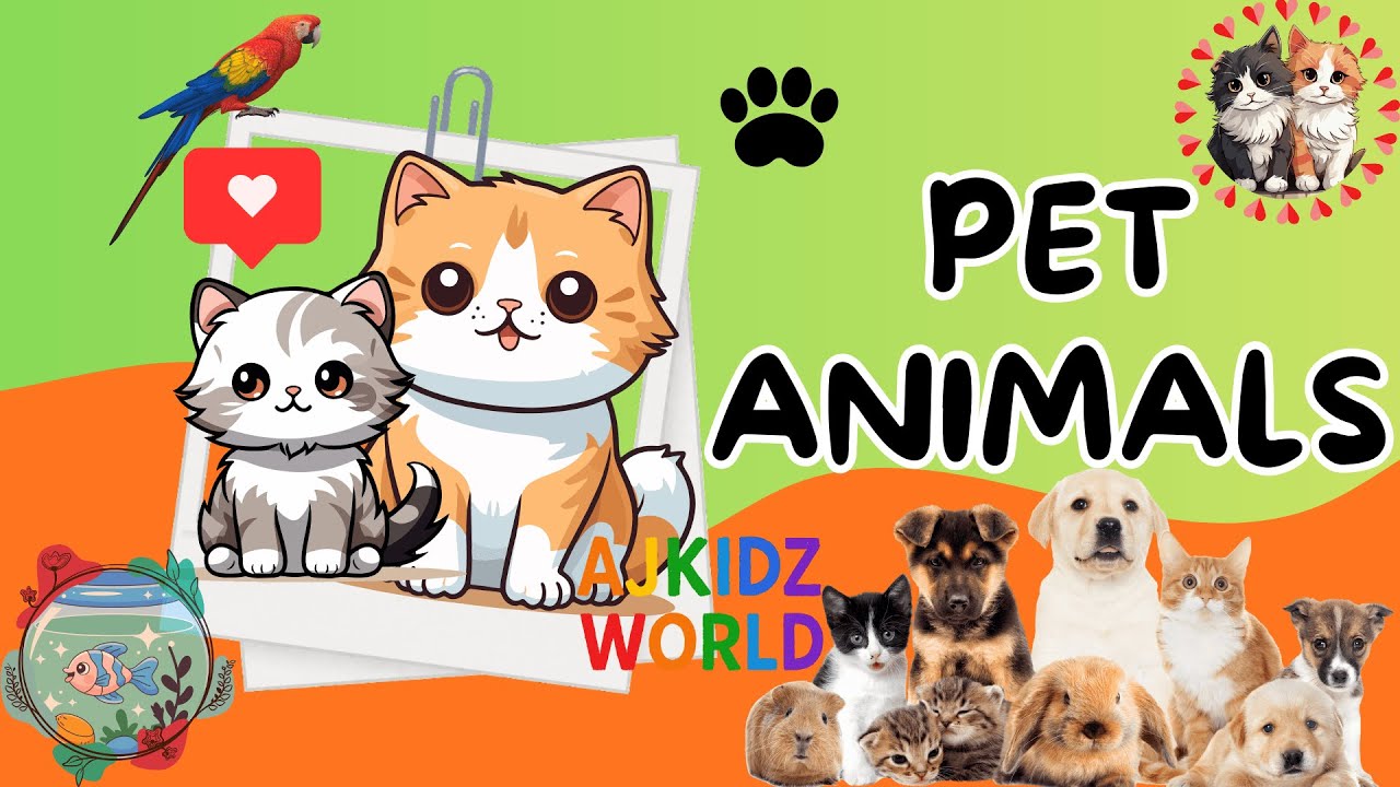 🐶🐱 Pet Animals for Kids | Learn Animal Names | Preschool Learning 🐰🐦
