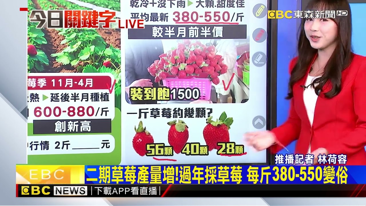 一斤800採不下手？草莓價格總算回穩變「半價」 @newsebc