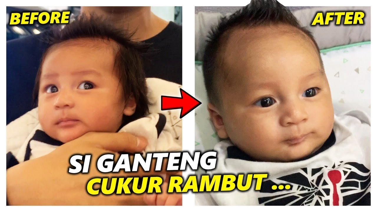 PERTAMA KALI MR.TIGER WONG CUKUR RAMBUT .. GUANTEEEENG BANGET ANAKNYA MAMAH PAULA NIHH !!