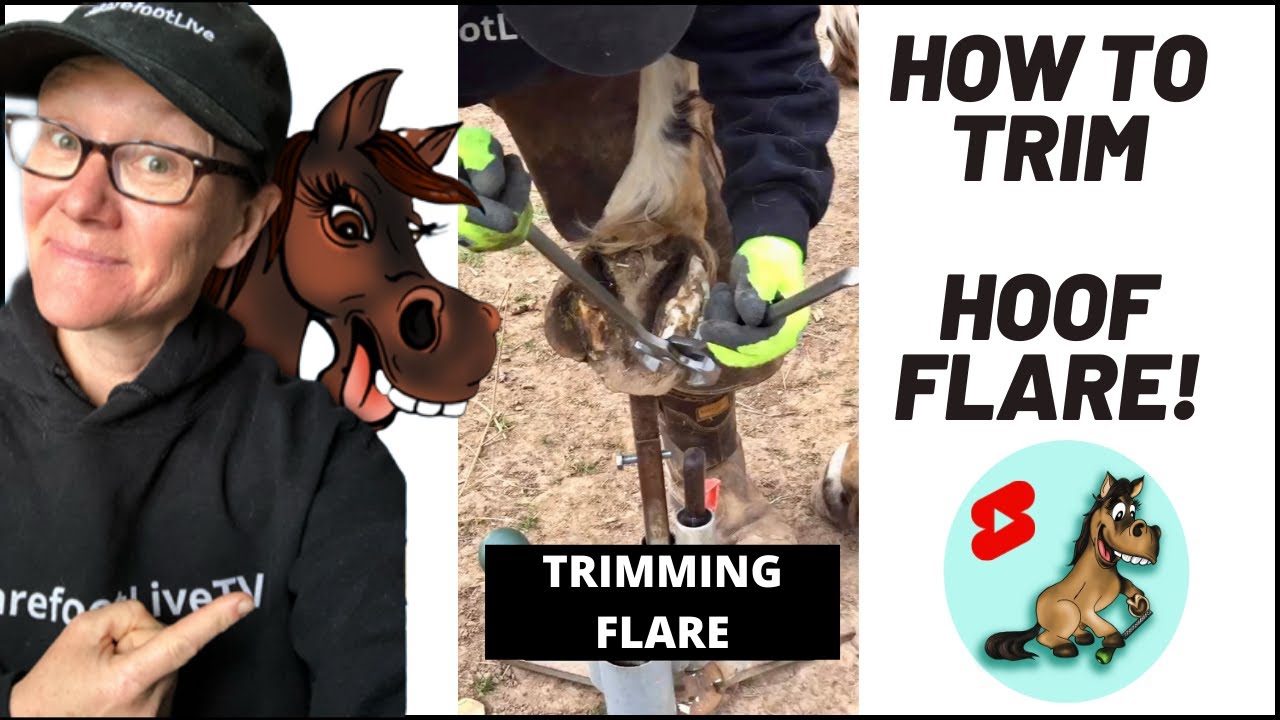 🤔 How to trim hoof FLARE the right way!