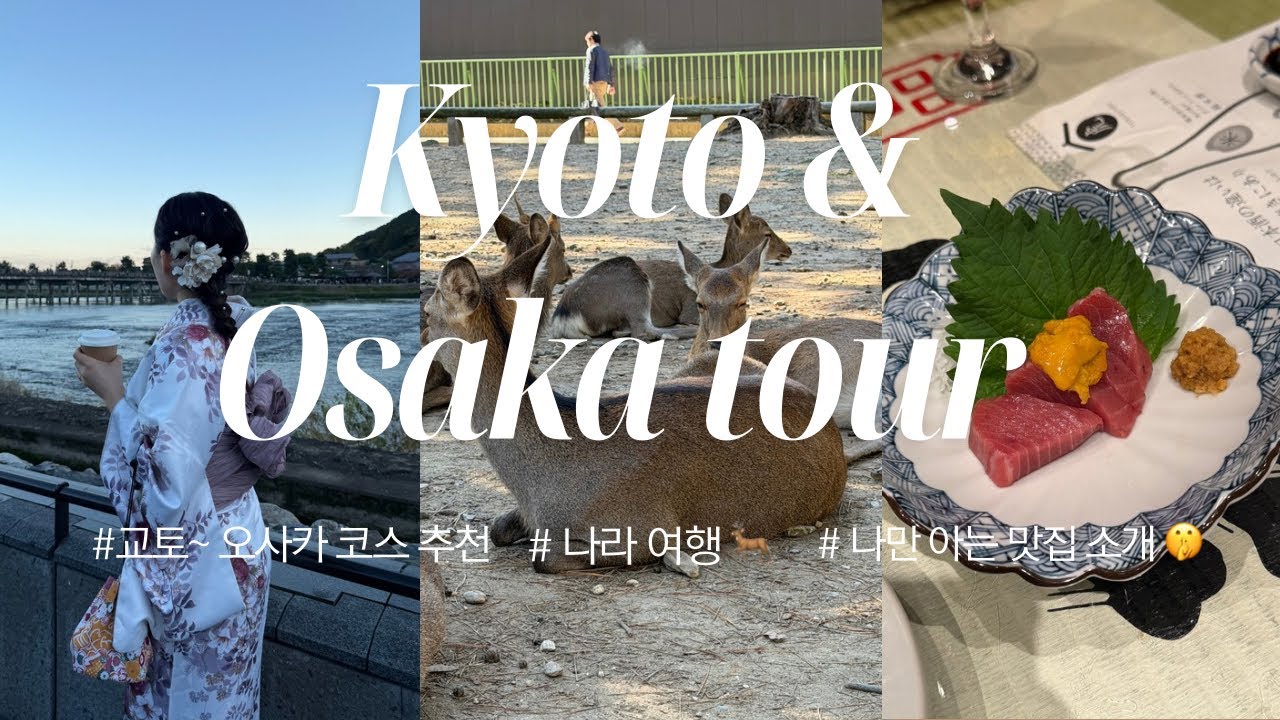 교토~오사카 여행 브이로그 | 조금 꽉찬 솔직 후기 루트.. ♥ 청수사, 아라시야마, 교토 기모노체험, 나라 여행 🦌,오사카 쇼핑(플리츠플리즈⭐️),나만 알고 싶은 오사카 맛집 ♥