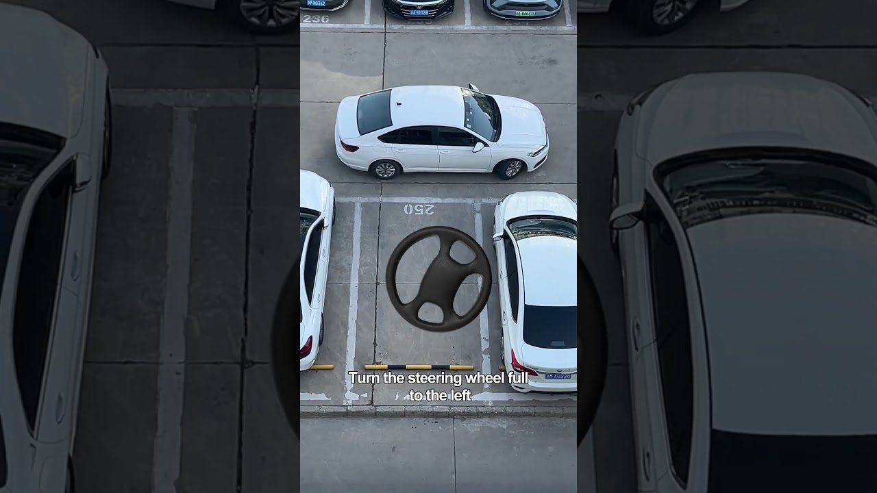 My followers must know how to reverse into a parking space! #car #carsafety #driving #tips
