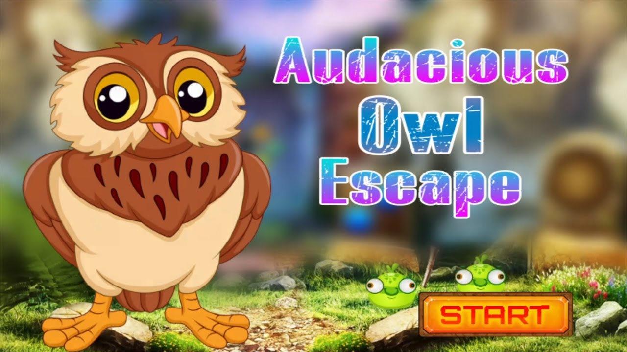 Audacious Owl Escape Walkthrough (Palani Games)
