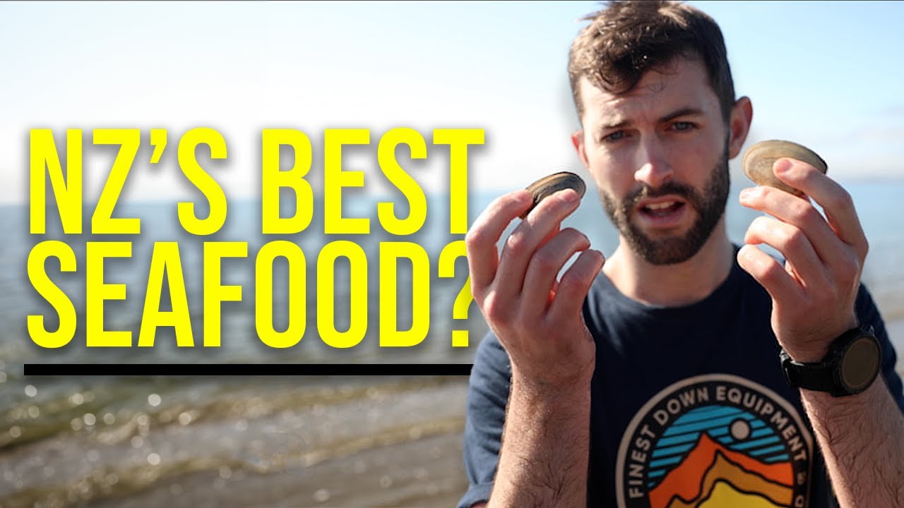 WILD CLAMS - Catch & Cook | Golden Bay NZ