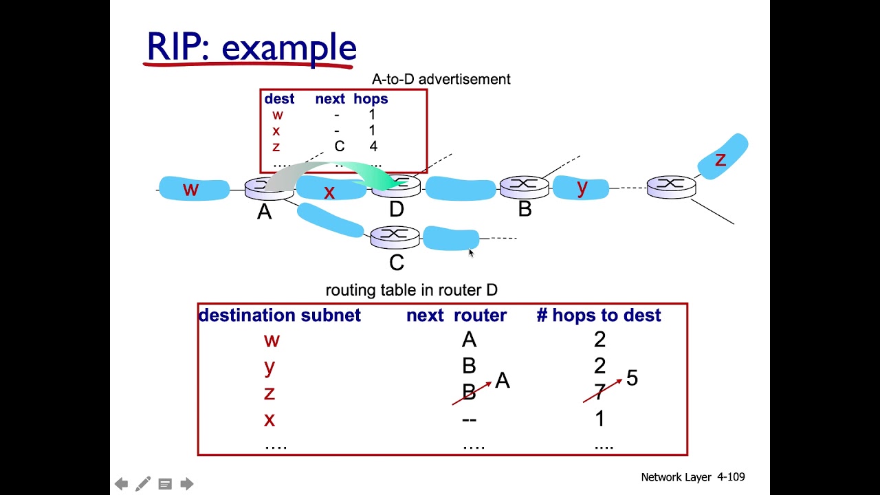 IGP Protokolleri: RIP ve OSPF - Bilgisayar Ağları - Ders 4 - Bölum 12