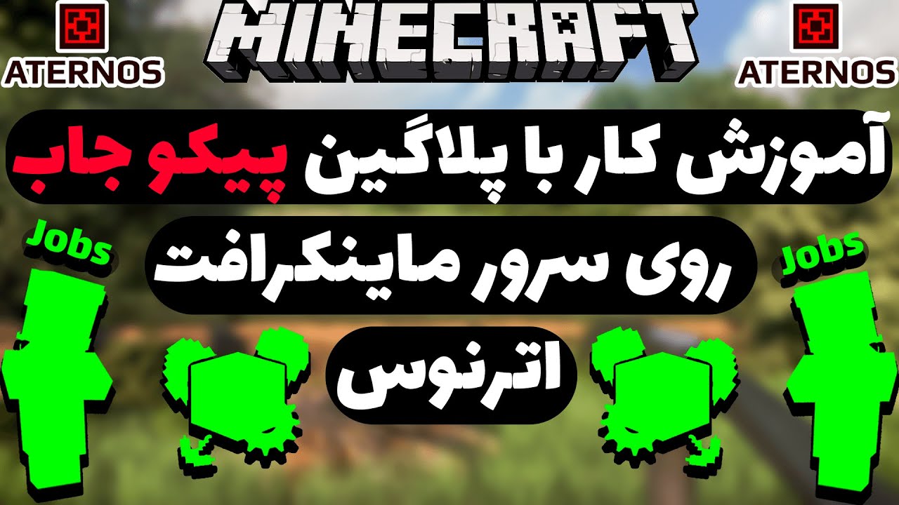 آموزش کار با پلاگین پیکو جاب روی سرور ماینکرافت اترنوس