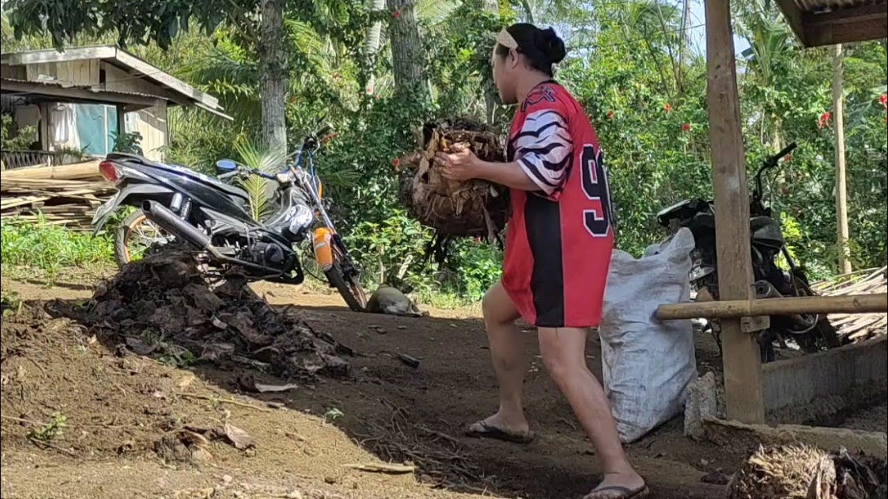 BUMILI AKO NG DALAWANG BIIK