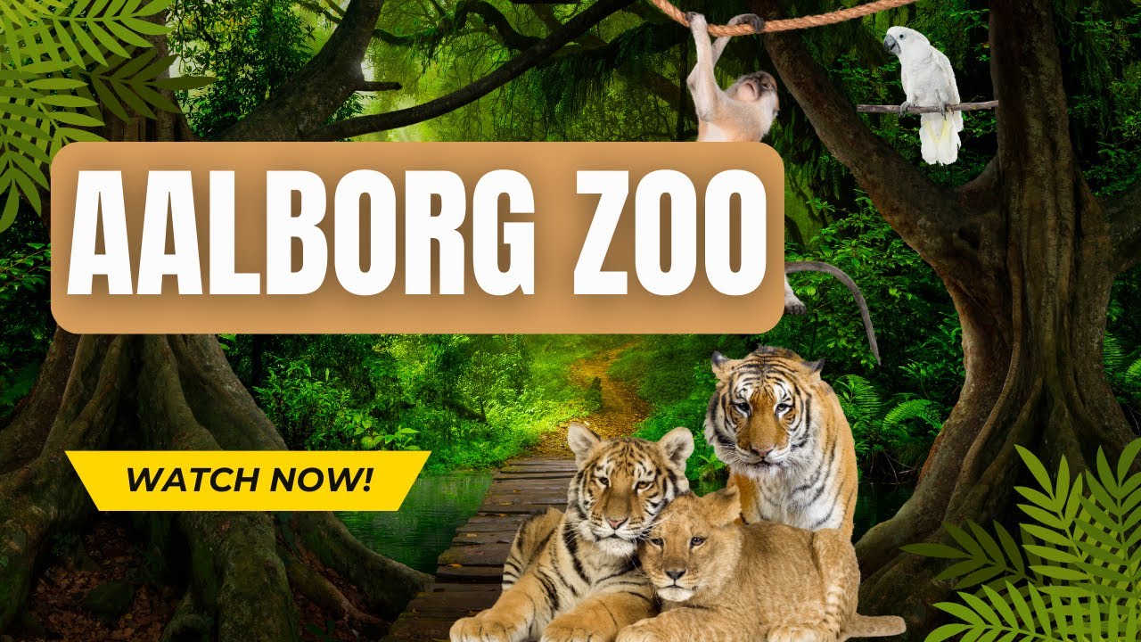 Vi besøger den nordligste zoo i Danmark - Aalborg Zoo 😉 #zoo #aalborg #matzke