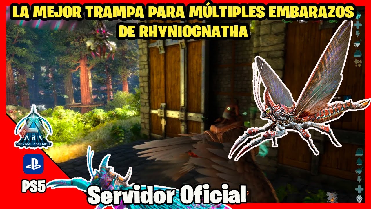 Esta es la TRAMPA para MÚLTIPLES EMBARAZOS de Rhyniognatha | ARK ASCENDED Servidor Oficial