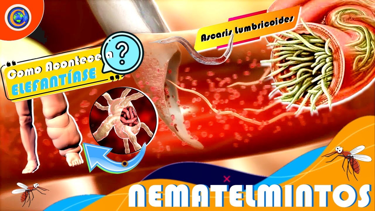 NEMATELMINTOS - OS VERMES PARASITAS