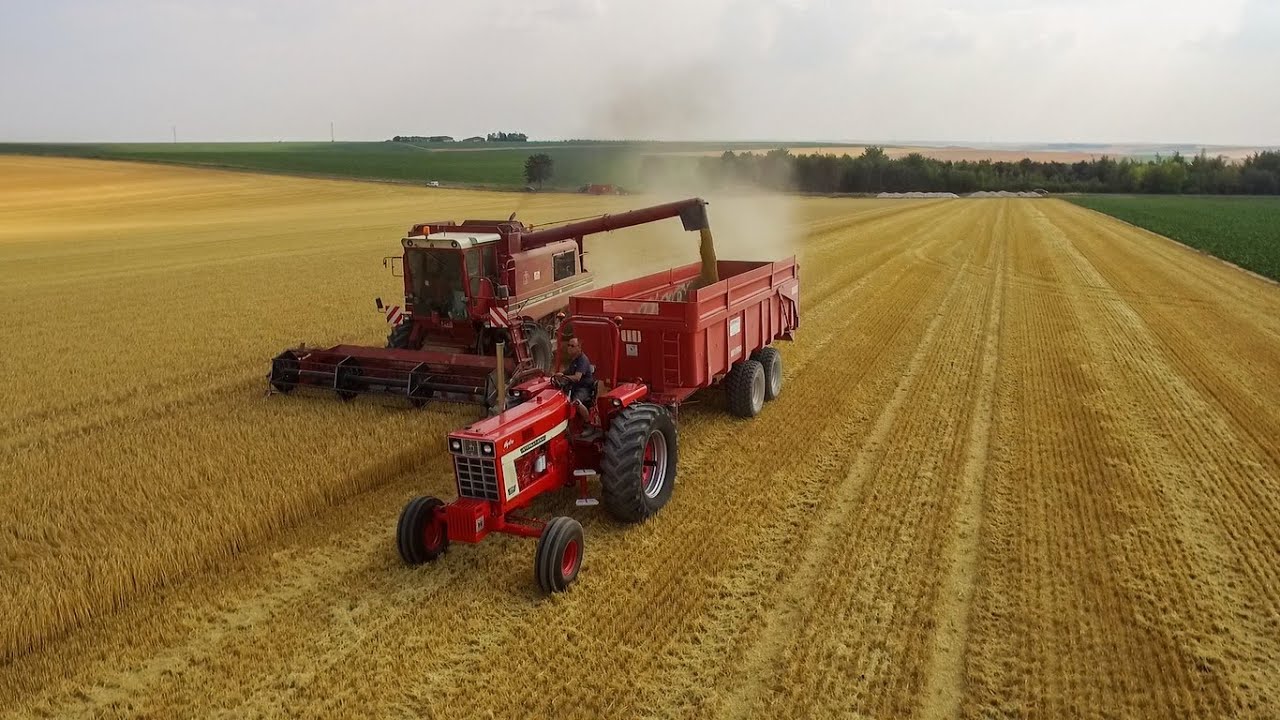 Moisson : Retour 30 ans dans le passé ! IH 1066 & IH 1480.