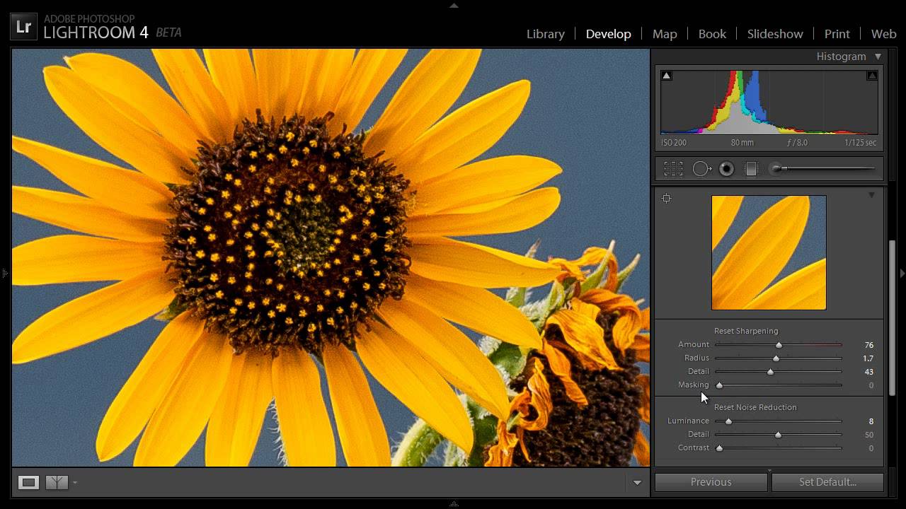 Sharpening in Lightroom 4