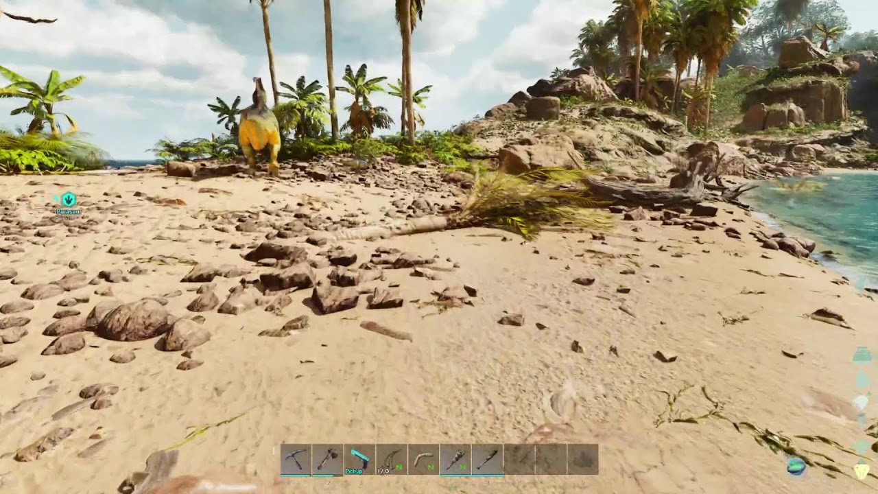 Ark Survival Ascended | Fresh start on the island