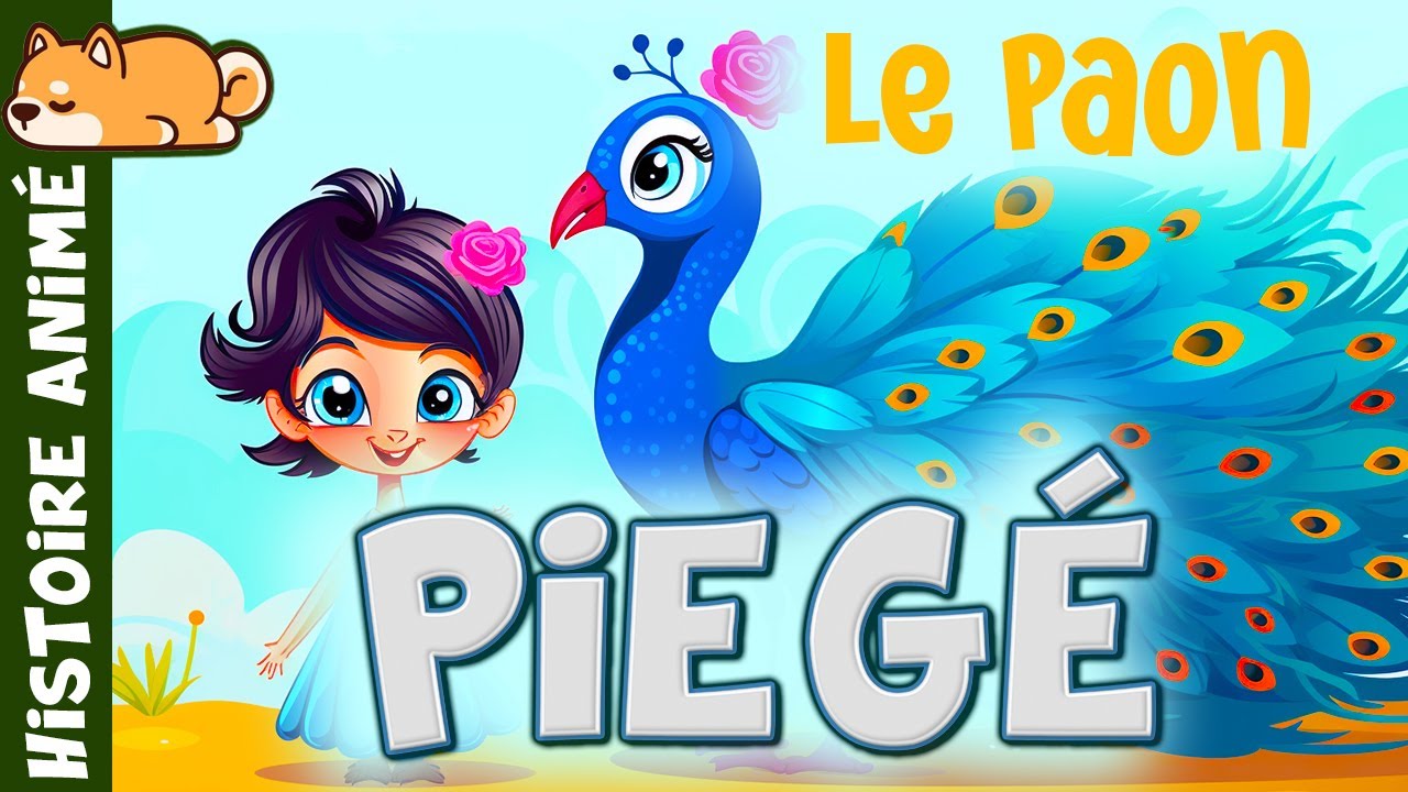 Elle veut sauver le Paon Prisonnier🦚Histoire pour s'endormir | Conte pour enfant, Oiseau, Liberté