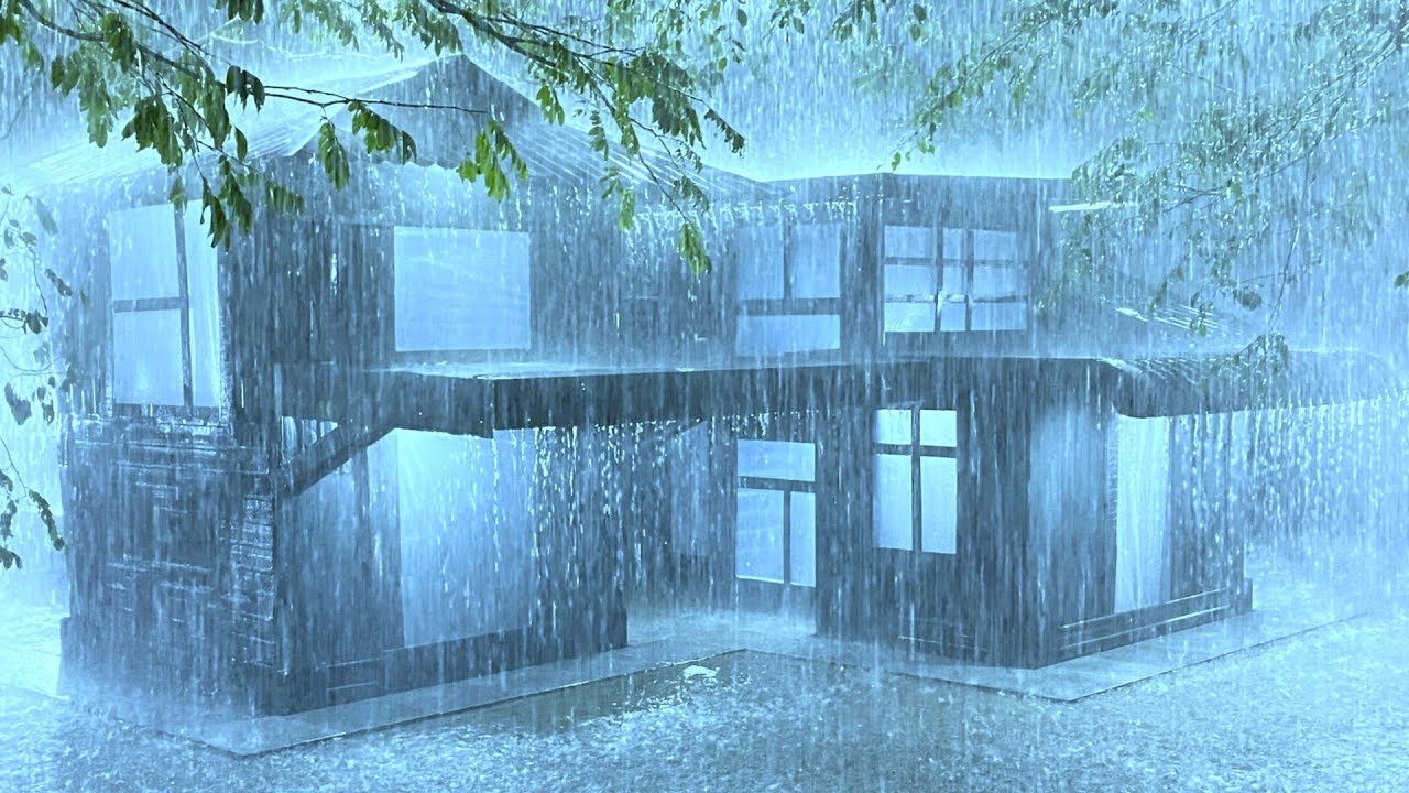 Beat Insomnia with Torrential Rain and Violent Thunder on a Fragile Tin Roof in a Mystical Forest